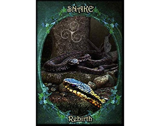 Witches Familiars Oracle Cards