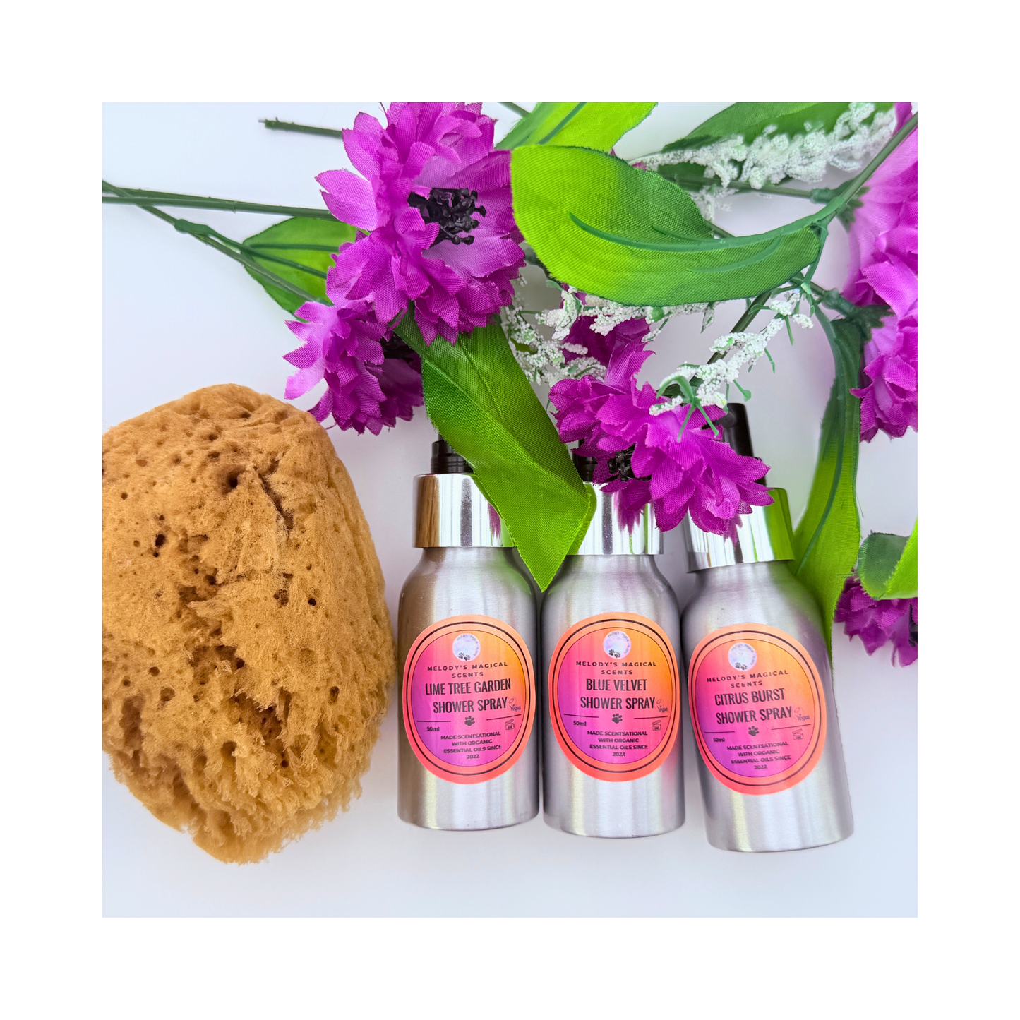 Set de regalo de esponja marina natural y espray de ducha