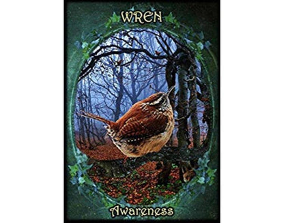 Witches Familiars Oracle Cards