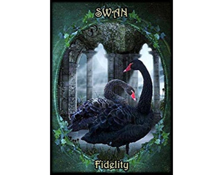 Witches Familiars Oracle Cards