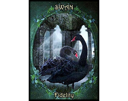 Witches Familiars Oracle Cards