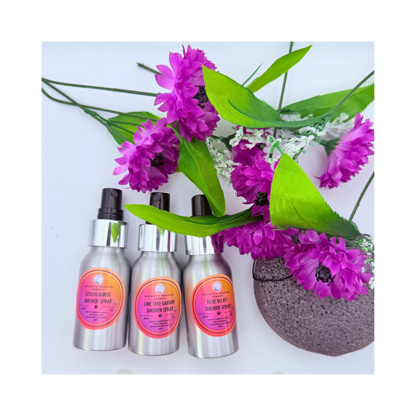 Volcanic Natural Lava Sponge and Shower Spray Gift Set